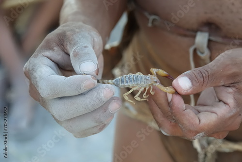 San Bushmen of Botswana with Scorpion in his hand
