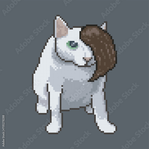 Cat with wig, pixel art meme