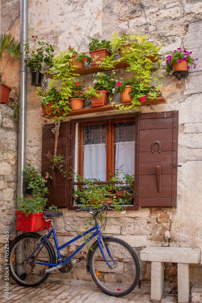 bicycle with a basket near a wall with a window with open shutters and red fresh homemade flowers in pots