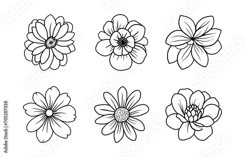 Hand drawn simple flower illustration