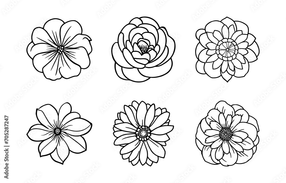 Hand drawn simple flower illustration Hand drawn simple flower illustration