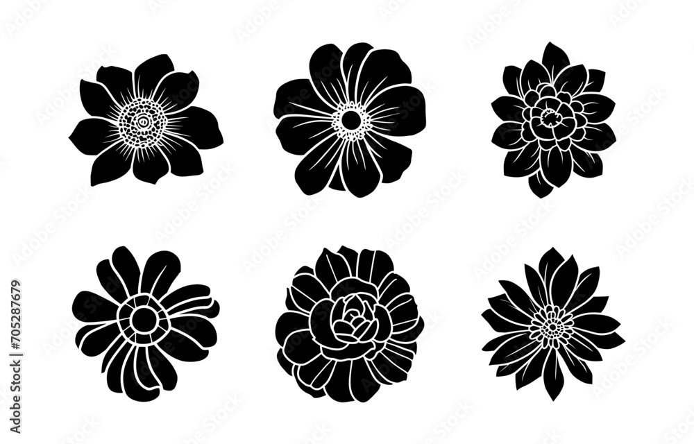 Hand drawn simple flower illustration Hand drawn simple flower illustration