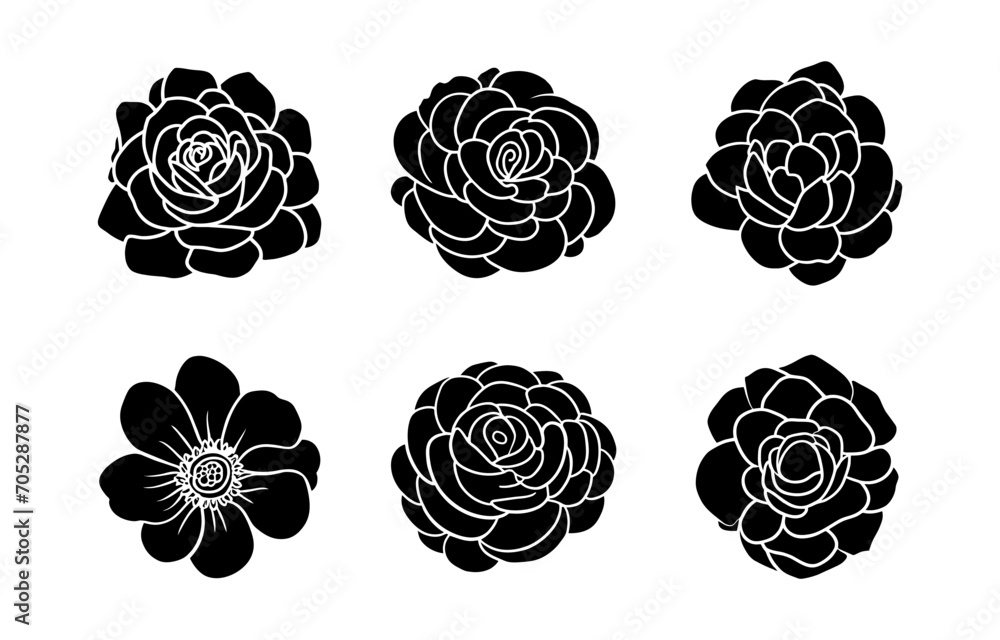 Hand drawn simple flower illustration Hand drawn simple flower illustration