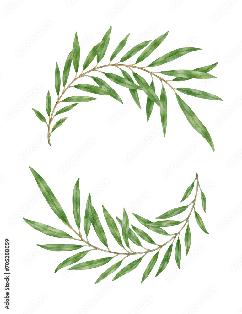 Laurel wreath with two branches. Watercolor botanical painting. Green branches isolated on transparent background. Watercolor coat of arms with branches. Decoration elements.
 - obrazy, fototapety, plakaty 