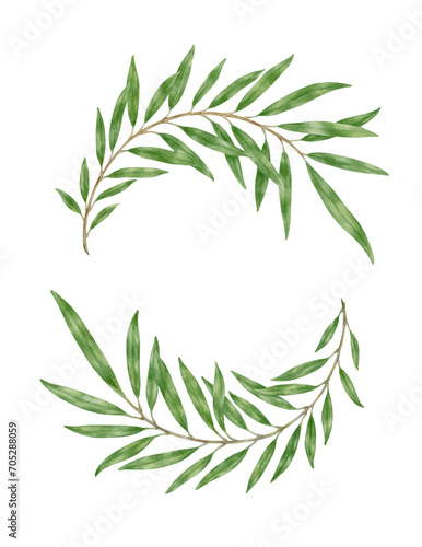 Laurel wreath with two branches. Watercolor botanical painting. Green branches isolated on transparent background. Watercolor coat of arms with branches. Decoration elements.
 photo