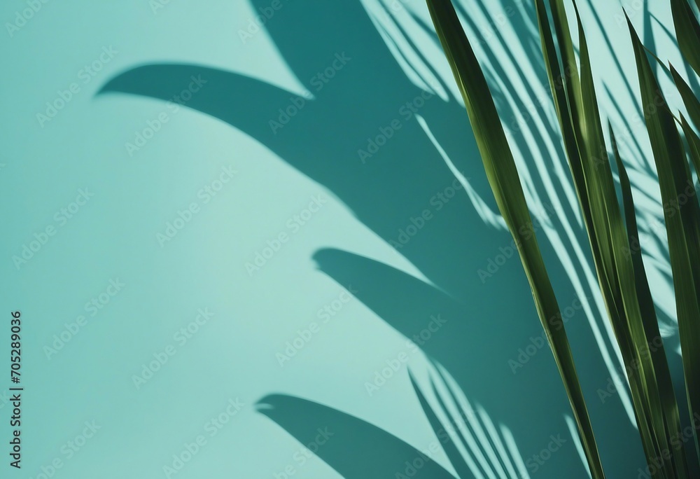 Blurred shadow from palm leaves on the light blue wall Minimal abstract background for product presentation Blurred shadow from palm leaves on the light blue wall Minimal abstract background for product presentation