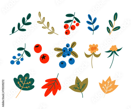 Set of north forest berries. Vector illustration set. 