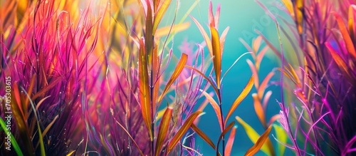Underwater vegetation in vibrant hues close up.