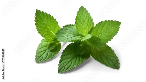 Fresh mint leaves isolated on white background. With clipping path. Transparent background and natural transparent shadow Ingredient, spice for cooking