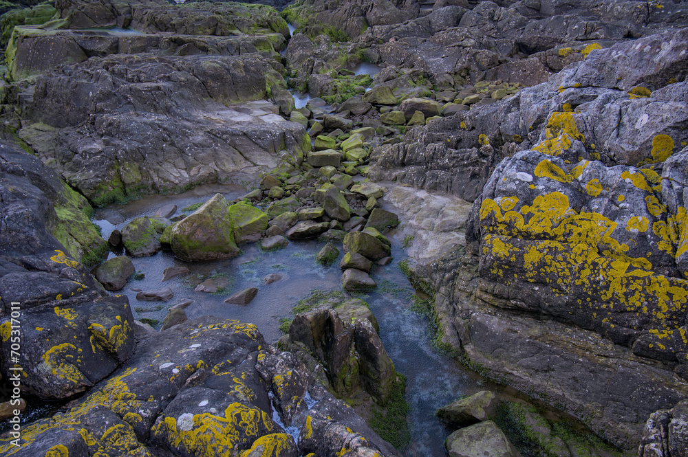 Photograph of coastal rocks adorned with green and yellow moss, featuring a frozen pool of water leading to a meandering stream of ice.