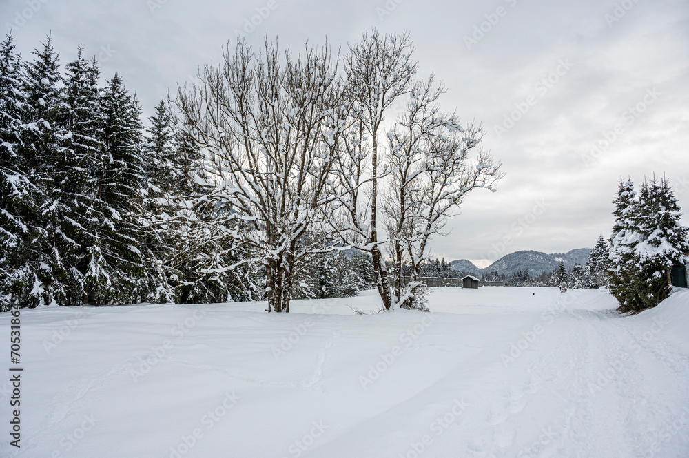 The tourist resort of Tarvisio after a heavy snowfall The tourist resort of Tarvisio after a heavy snowfall