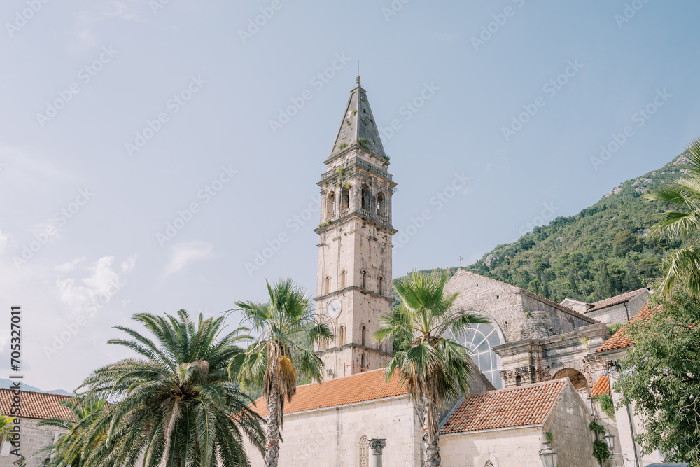 Green palm trees grow near the Church of St. Nicholas in Perast. Montenegro