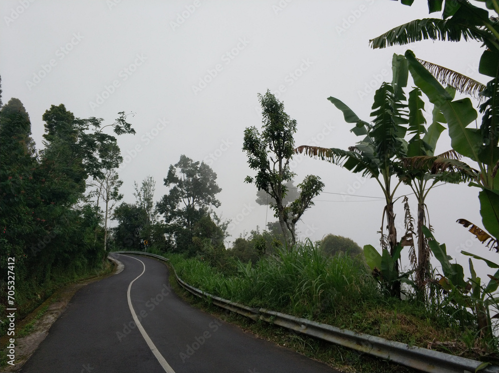 An asphalt road through the green jungle. Traveling during the day
