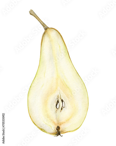 Pear Abate Fetel. Watercolor illustration of a half ripe pear. Hand-drawn realistic botanical illustration on transparent background.  © Nadya