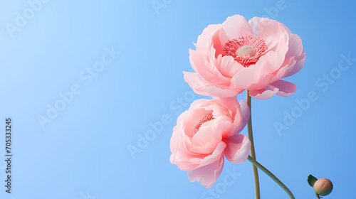 Holiday party background, New Year, birthday, celebration, Christmas background with blank copy space