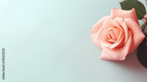 Holiday party background, New Year, birthday, celebration, Christmas background with blank copy space