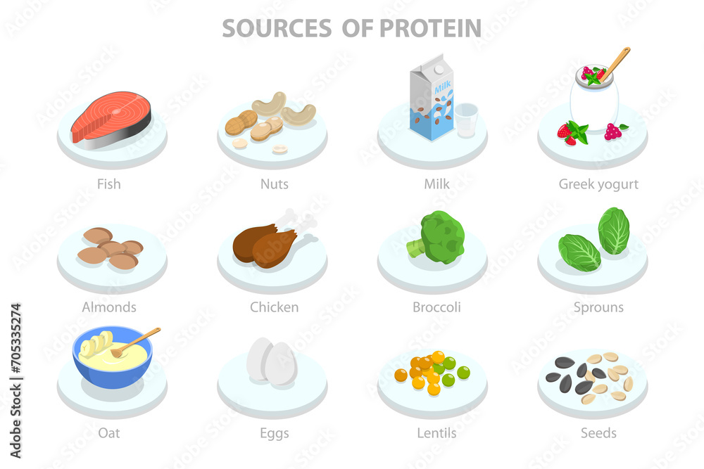 Fototapeta premium 3D Isometric Flat Conceptual Illustration of Sources Of Protein, Healthy Food Guide