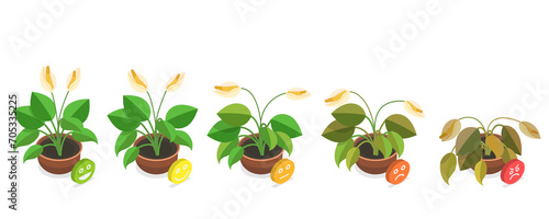3D Isometric Flat  Conceptual Illustration of Dying Plant, Phases a Flower Withering photo