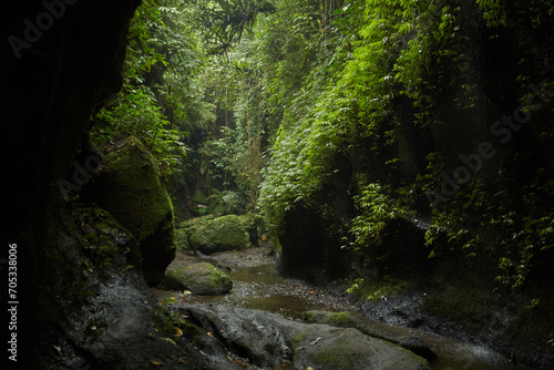 Fototapeta Naklejka Na Ścianę i Meble -  Rocks and huge boulders covered with moss in the jungle on the popular island of Bali.