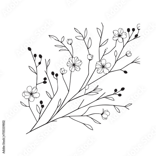 Hand drawn floral minimal elements in line art style. Greenery for decoration  wild and garden plants  branches  leaves.