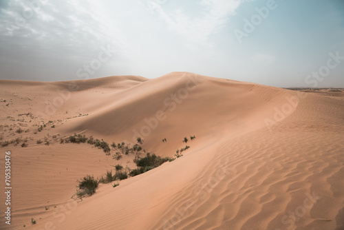 Sand dunes in the Gobi Desert in Inner Mongolia  China