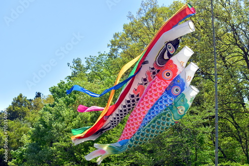 鯉のぼり　広島　備北丘陵公園　国営備北丘陵公園 photo