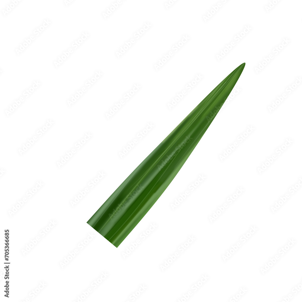 Pandan Leaf Illustration Pandan Leaf Illustration