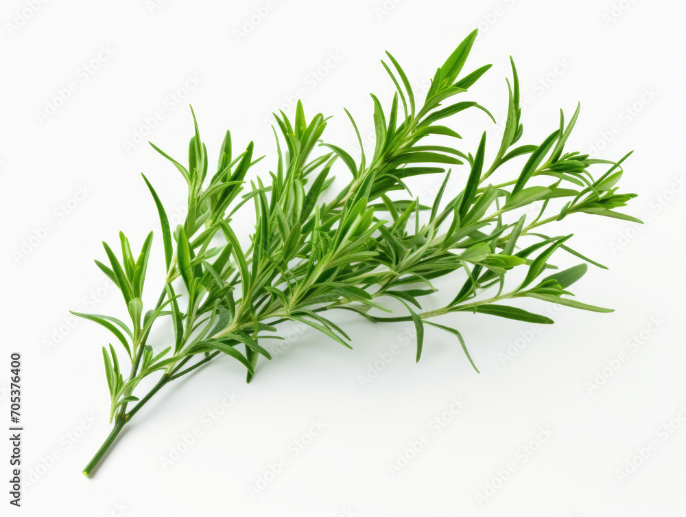 Fototapeta premium Close-up of fresh tarragon leaves on white background, vitamin and health concept. Generative AI.