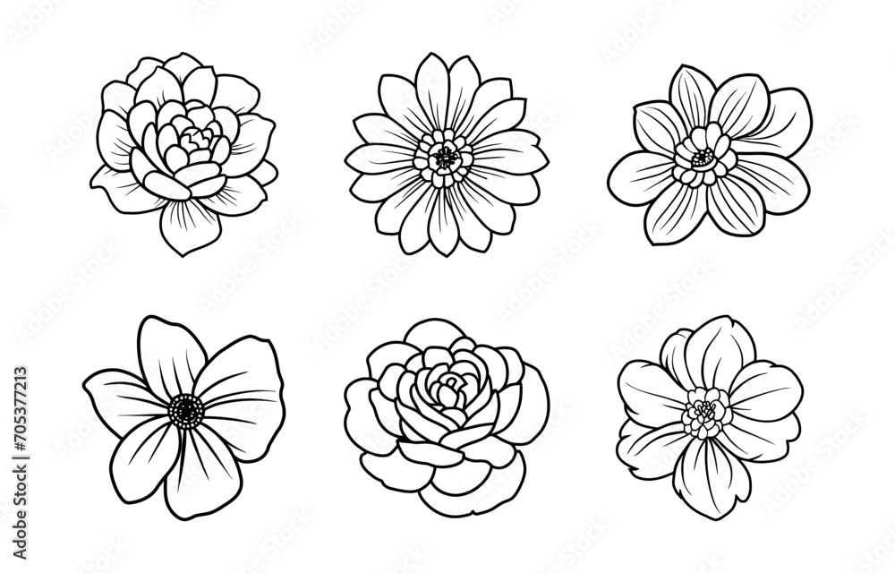 Hand drawn simple flower illustration Hand drawn simple flower illustration