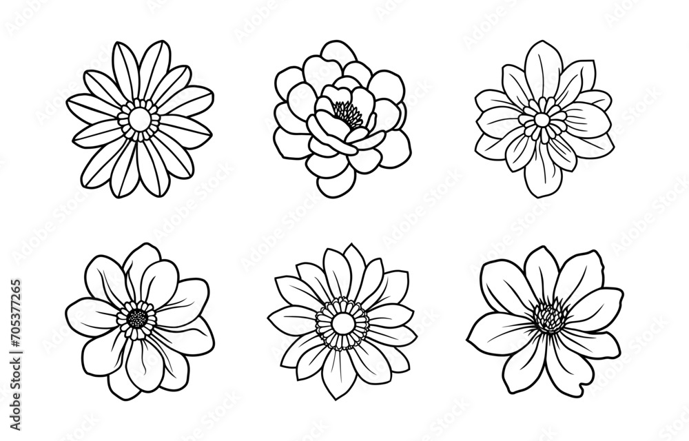 Hand drawn simple flower illustration Hand drawn simple flower illustration