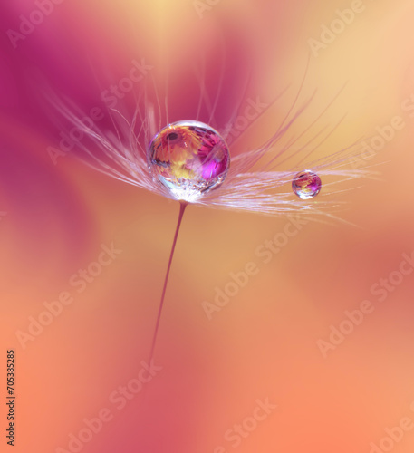 Beautiful Nature Background.Floral Art Design.Abstract Macro Photography.Pastel Flower.Dandelion Flowers.Violet Background.Creative Artistic Wallpaper.Wedding Invitation.Celebration,love.Close up View