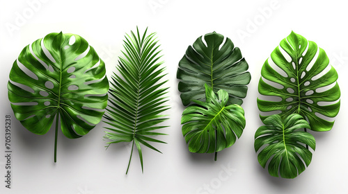 Set of Tropical leaves,viewed from a three quarters angle. Generative ai. photo