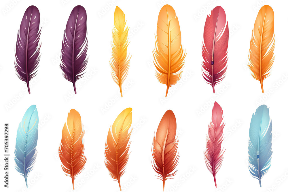 Collection of colorful feathers isolated on white PNG Collection of colorful feathers isolated on white PNG