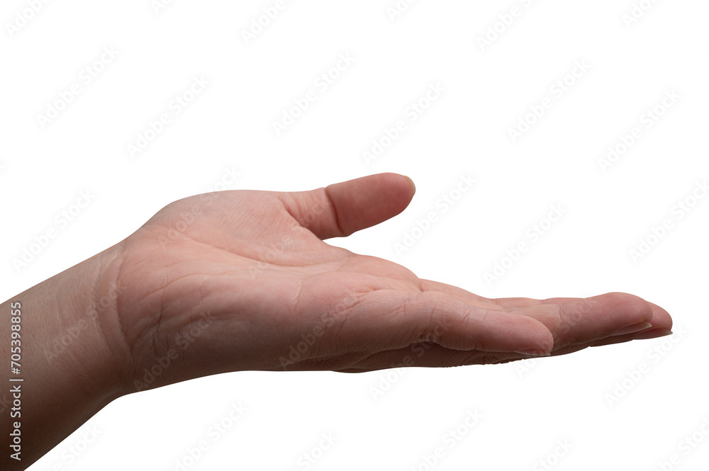 Male hand reach and ready to help or receive. Gesture isolated on white background. Male hand reach and ready to help or receive. Gesture isolated on white background.