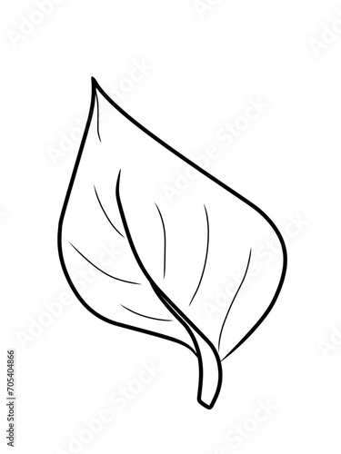 Daun tropis dengan gaya doodle. Elemen desain garis hitam vektor ditarik tangan. Ilustrasi botani musim panas eksotis.