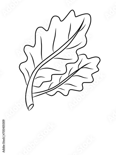 Daun tropis dengan gaya doodle. Elemen desain garis hitam vektor ditarik tangan. Ilustrasi botani musim panas eksotis.