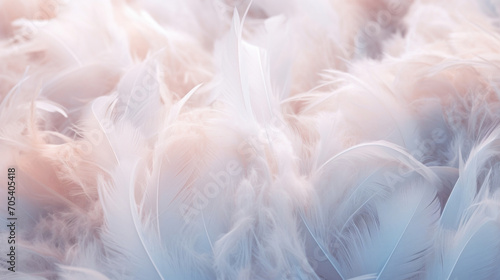 Soft focus on fluffy white feathers creating a tranquil and cozy background texture. © tashechka