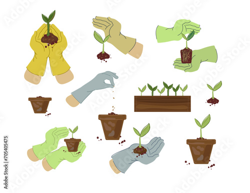 Hand holding small tree for planting. Home gardening. Set vector illustrations in flat cartoon doodle style.