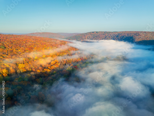 Aerial view of Autumn forest at foggy sunrise
