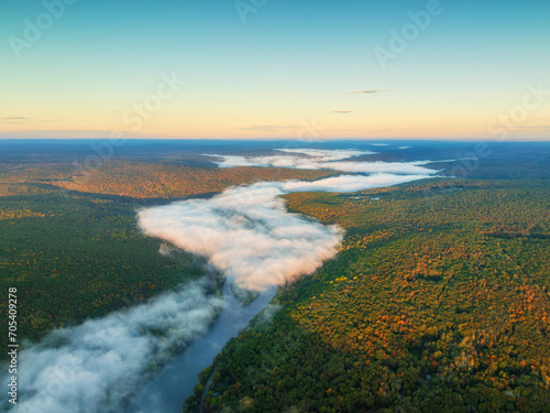 Aerial view of river in the forest 