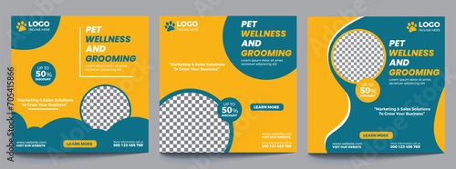 Social media post template. Pet care and wellness social media template design collection set. 11:11 photo