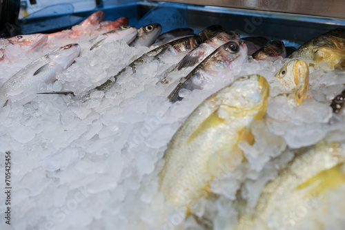 Photography Fresh fish on ice for sale in supermarket