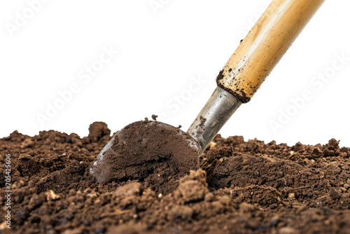 soil is dark brown and appears to be rich and fertile