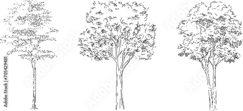 Vector sketch illustration of artistic tree design with many leaves