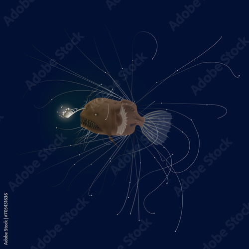Angler Fish