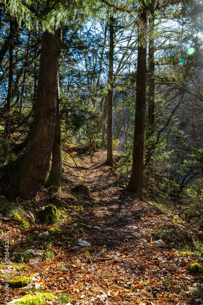 Obraz premium 泉ヶ岳