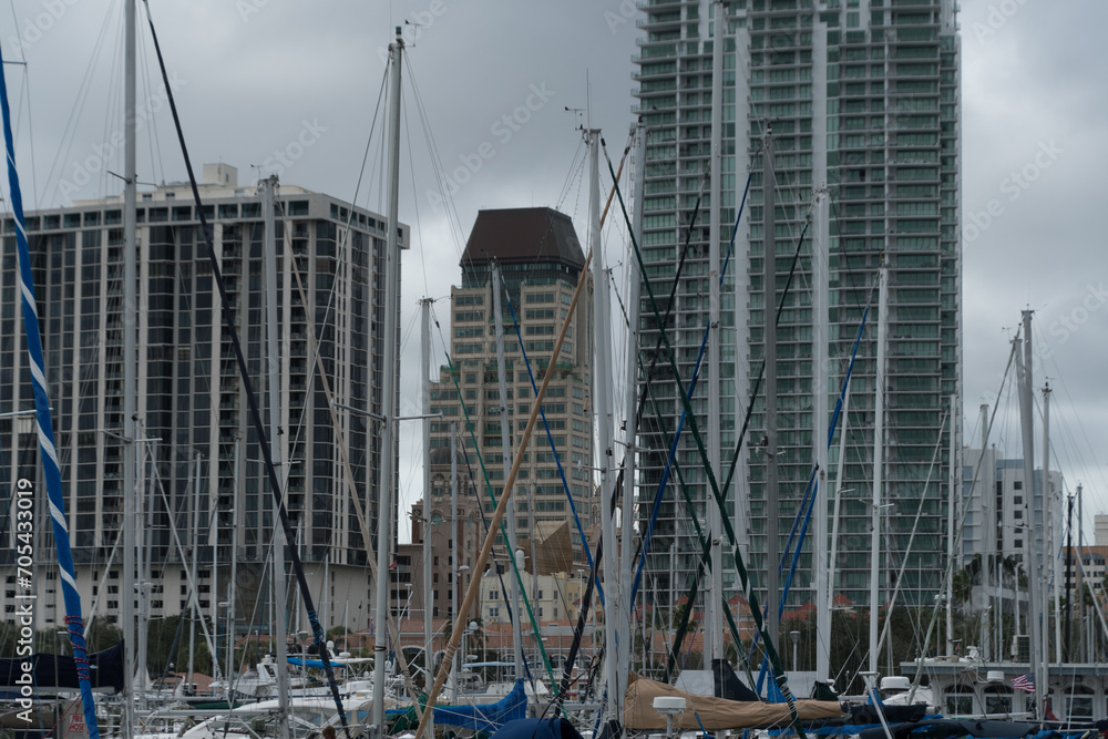 Forest of masts in Central Yacht Basin marina with St Pete cityscape in the background - 3