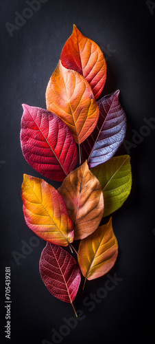 Colorful leaves spread out in large groups on black background Generative AI