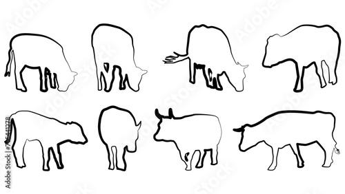 Set of cows outline isolated on white background. The cows eat and walk. Cattle clipart.