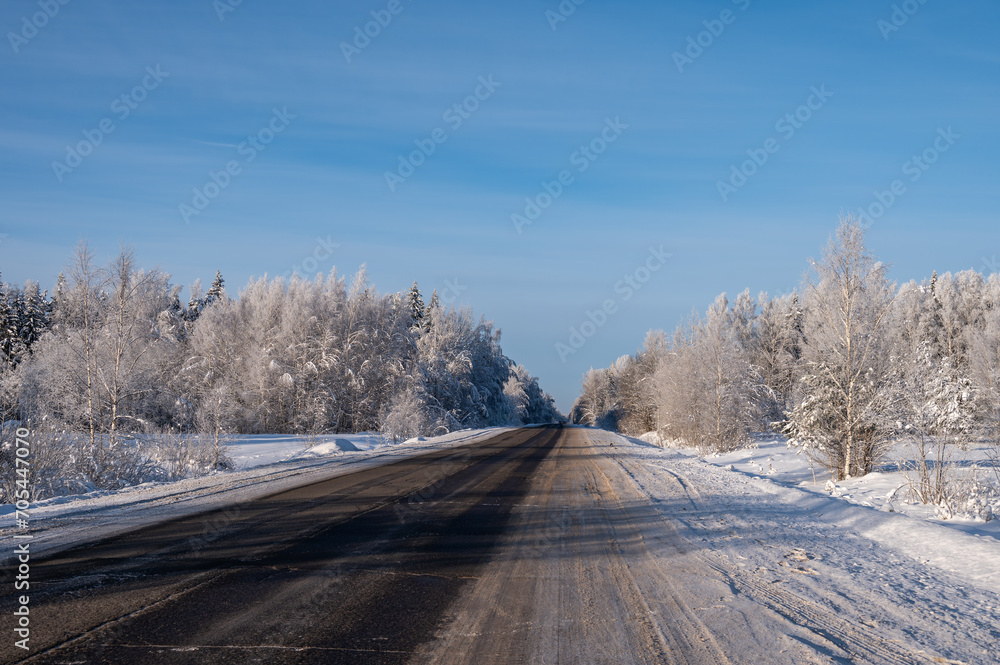 Obraz premium Suburban road through winter forest covered with snow.
